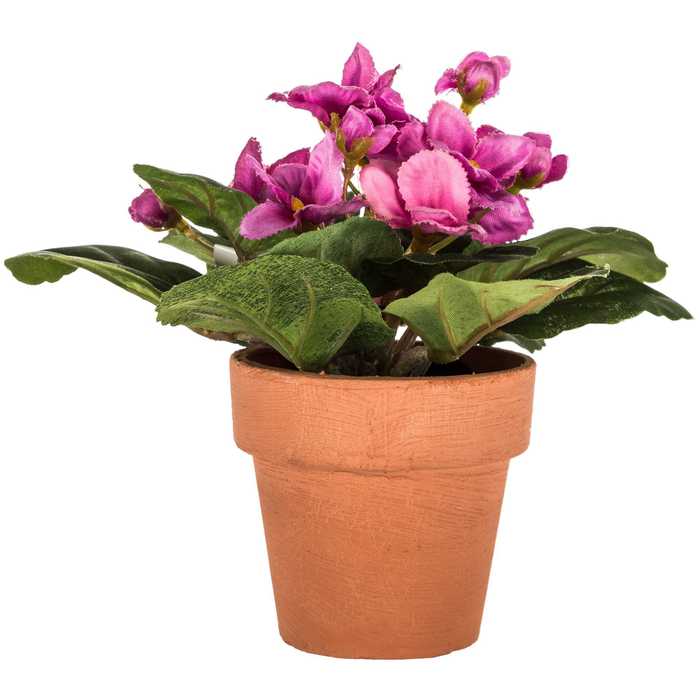 Mini Light Orchid African Violet In Pot Hobby Lobby 1082395